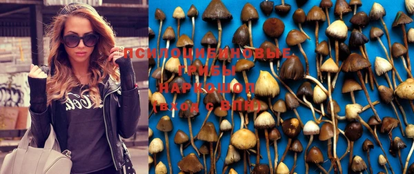 метамфетамин Покачи