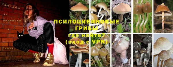 метамфетамин Покачи