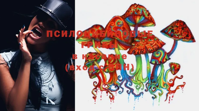Псилоцибиновые грибы мицелий  Великий Устюг 