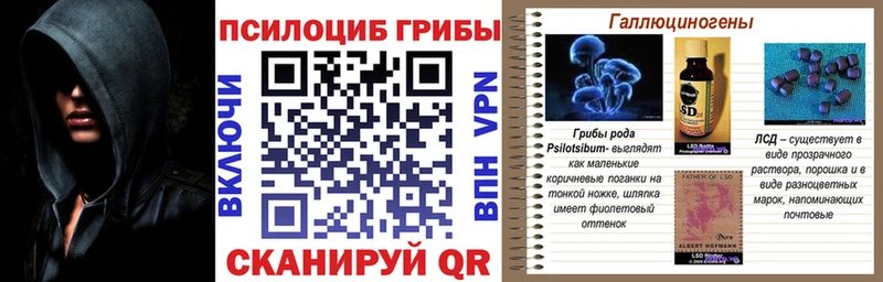 дарнет шоп  Великий Устюг  blacksprut tor  Псилоцибиновые грибы Cubensis 
