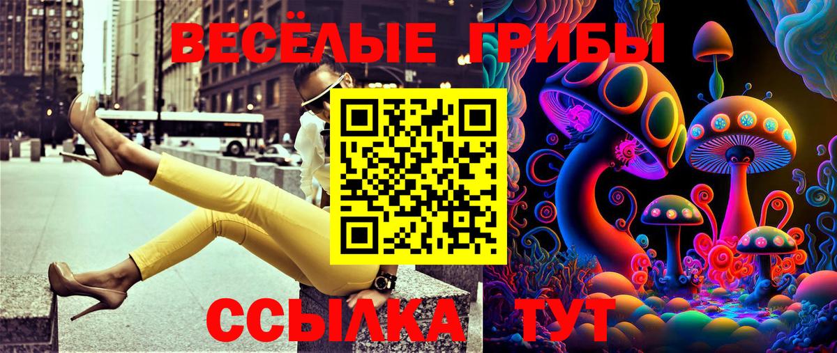Псилоцибиновые грибы Psilocybine cubensis Великий Устюг