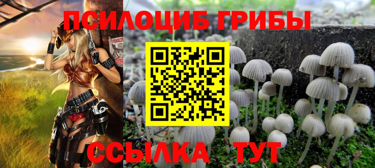 наркота  Галлюциногенные грибы Psilocybe  Вход с VPN  Великий Устюг 