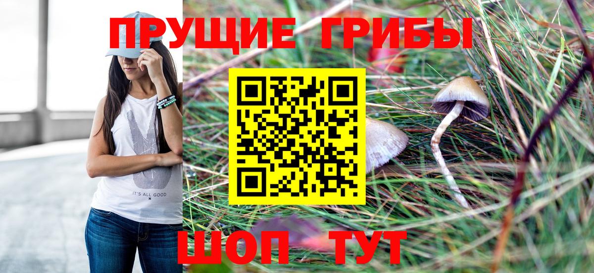 Псилоцибиновые грибы MAGIC MUSHROOMS  Галлюциногенные грибы Cubensis  Великий Устюг 